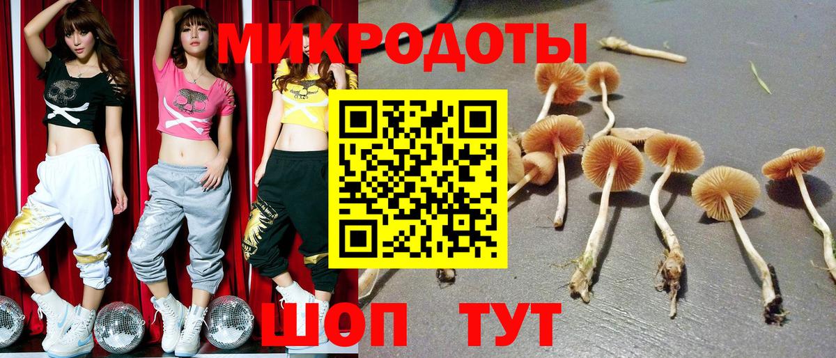 купить наркоту  Вход с VPN  Абинск  Галлюциногенные грибы прущие грибы 