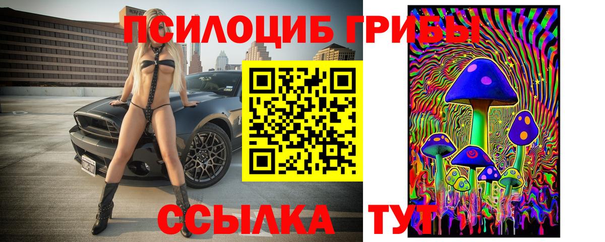 Галлюциногенные грибы прущие грибы Абинск